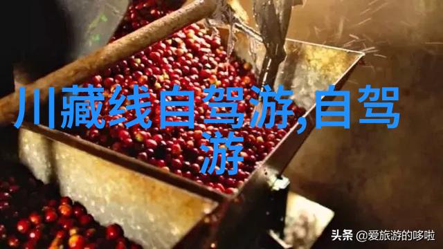 全球疫情防控对国际旅游的影响分析