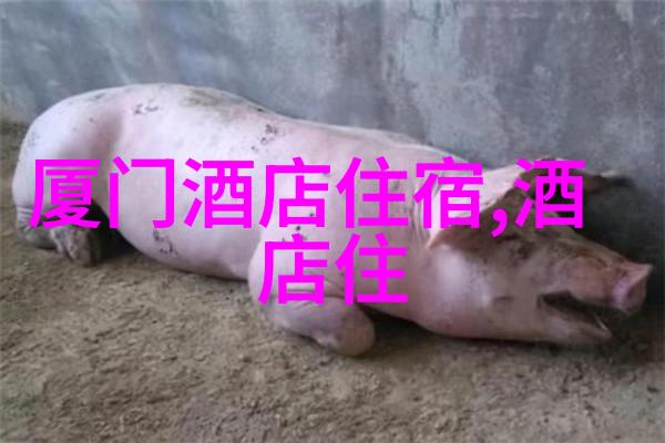 对于想要探索未知角落的冒险爱好者而言一份精心打造的地图应该包含什么样的挑战性活动指引吗