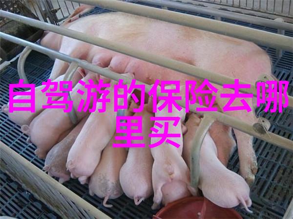 游乐场需要投资多少小明的游乐场梦想如何在万元开业前夕不破产
