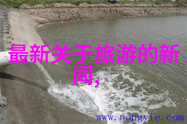 北方美食冰糖梨酥心脏的冬日暖阳