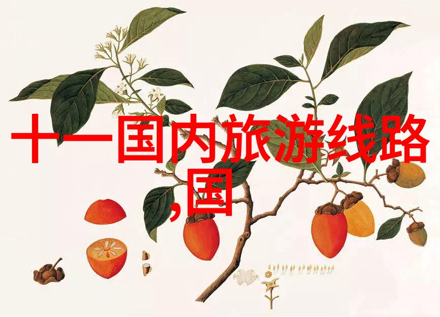 骑行26公里每日坚持体能大增探索循环训练的奇迹变化