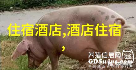 北京周边的自然风光避暑胜地推荐