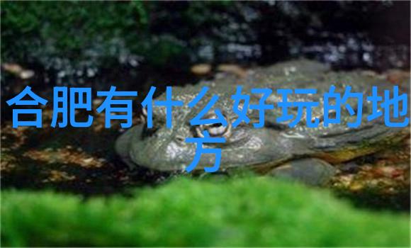 春节去哪里旅游暖和便宜我去北方山区寻找冬日的温暖