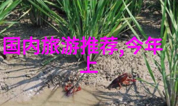 远足的诗篇千岛湖畔的自驾寻梦