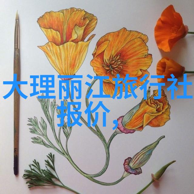 从课桌到操场四年级学生的校园经历