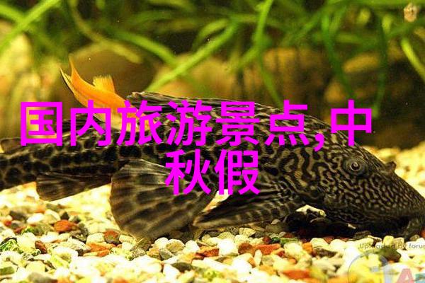 出国旅行的迷雾揭秘世界各地的旅游热点