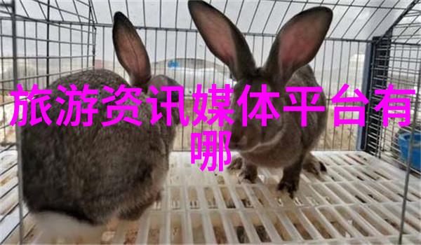 独占病美人师尊的全文免费阅读之旅