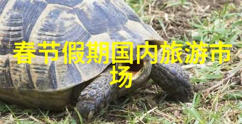 苏州美丽旅行探索古典园林与现代魅力
