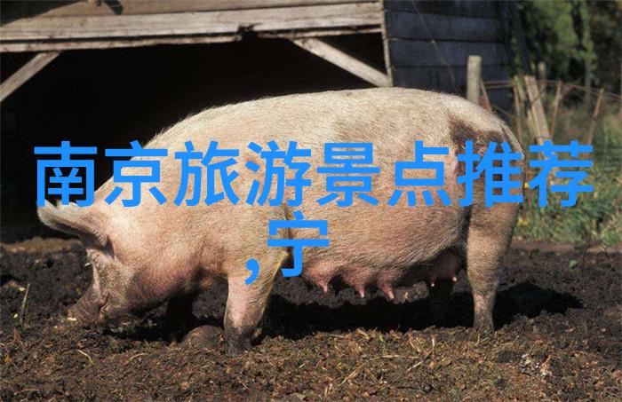 揭秘原版恐怖探索西游记深层阴森