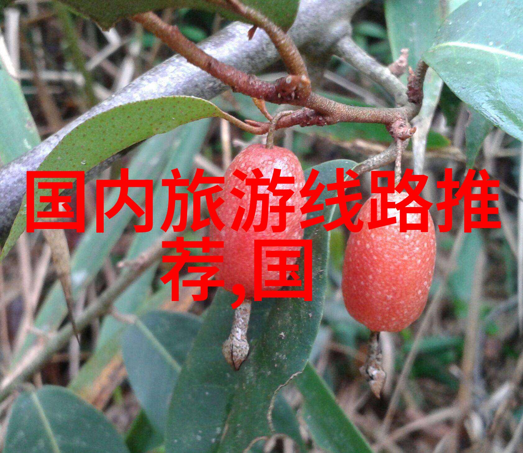 国内旅游景点介绍我眼中的中国一路向前的旅行故事