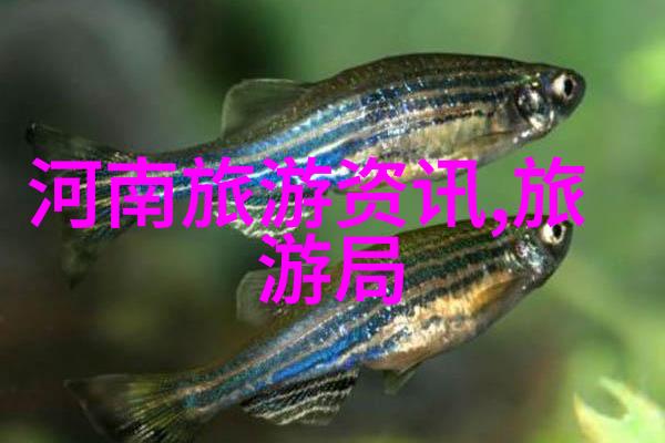 主题我在西游记第2集裡遇到神奇的仙人