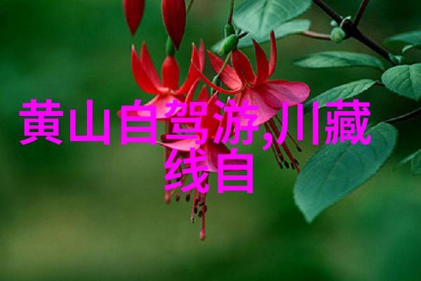 青岛海滨盛宴三四月份游览这座城市的好时光