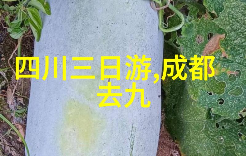 翱翔天际的旅人中国大门何时再次欢迎来访者