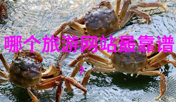 我们的小城市之旅寻找童年的美好