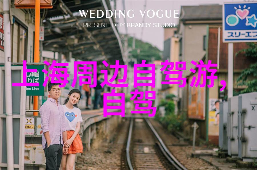 穿越早高峰的钢铁与风中的翅膀上班族的山地车与公路车之争