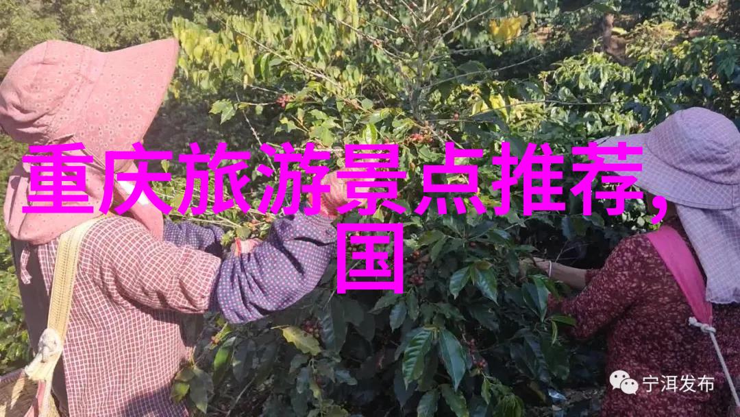 在西湖边一次探险又是一次自我发现