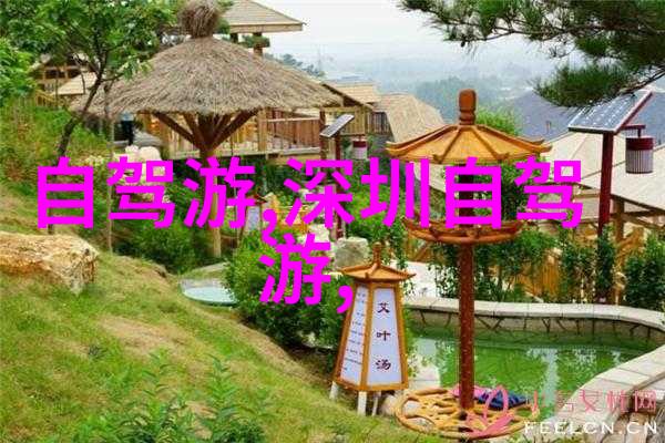 肥胖美女的欲望追求探索BBW的性满足之旅