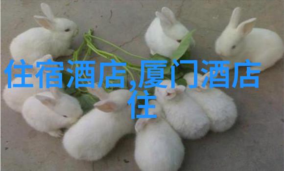 数字序列探秘解读18may19-XXXXXL56endian的奥秘
