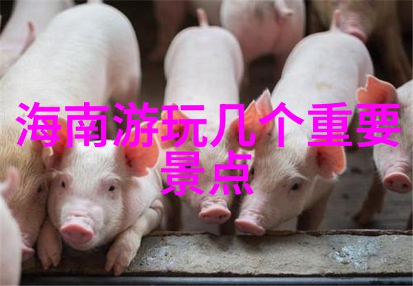 长生怪谈簿永恒的诱惑与绝望