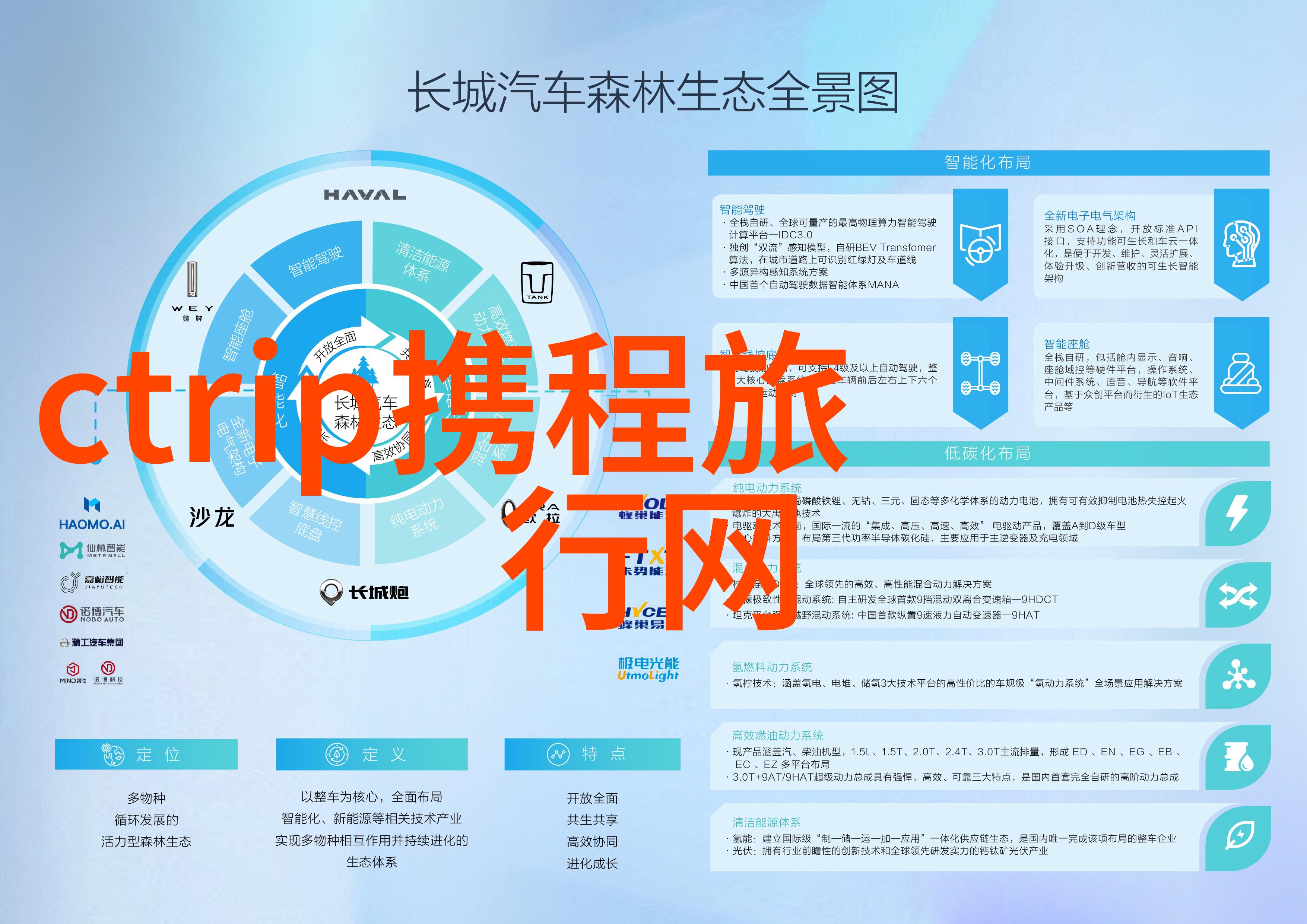 野王的智慧探索最佳自我