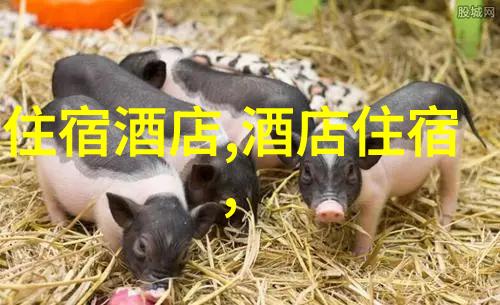 77bike折叠车之家App用户反馈分析