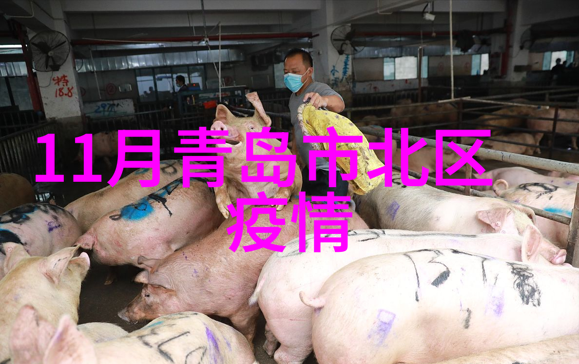 周边自驾游探秘周边景点自驾游攻略户外活动