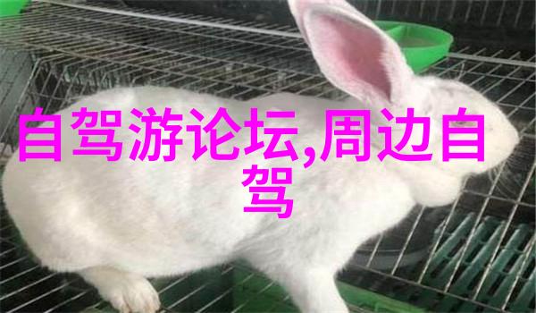 海上仙境深入了解中国著名旅游胜地涠洲岛