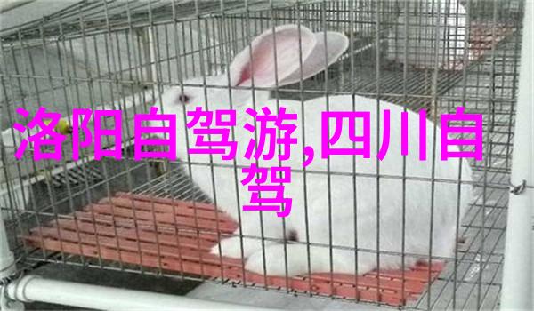 保定市区一日游必去景点我来教你怎么玩转保定的美好一天