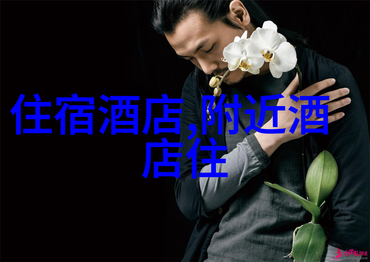 经济增长与文化传承并举分析双节假期对中国经济影响的深度报告