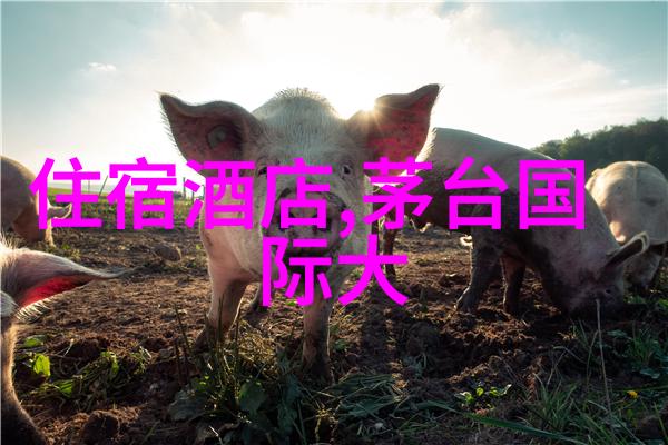 柳州旅游必游景点桂林山水甲天下柳江流域风光