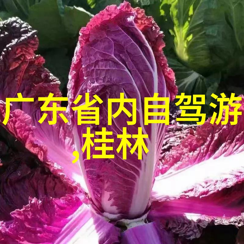 骑行必备装备安全头盔舒适手套耐磨自行车轮胎