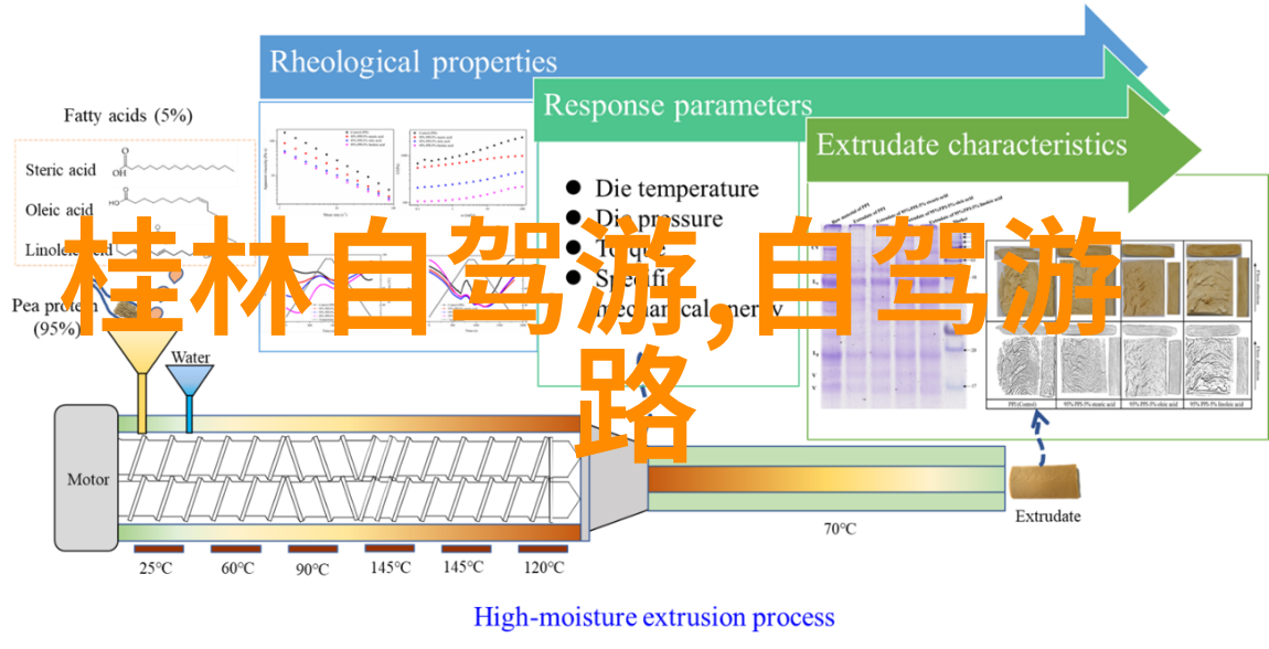 一月漫步的诗意寻觅冬日暖阳之地