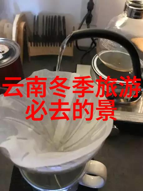 自然之友大班幼儿户外活动全集