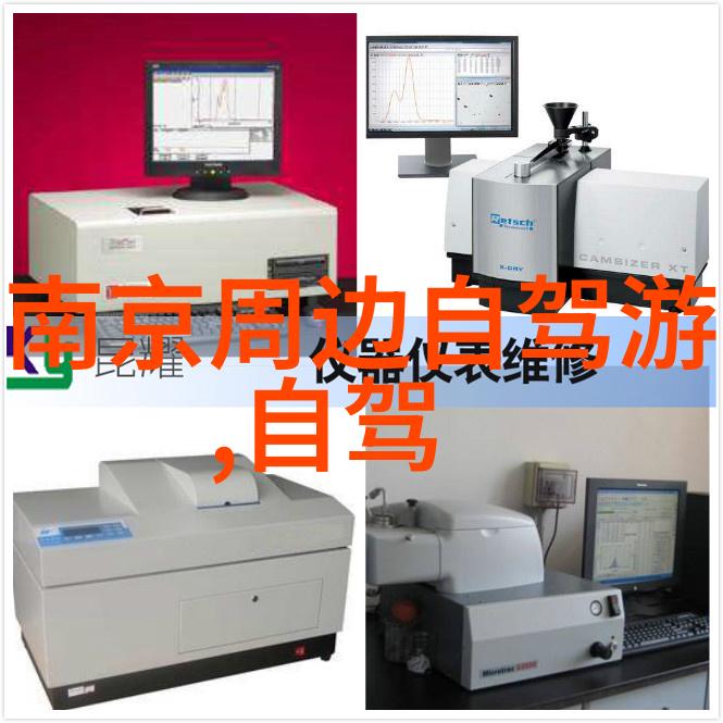 荒野求生与城市奇遇四年级学生的意外游记