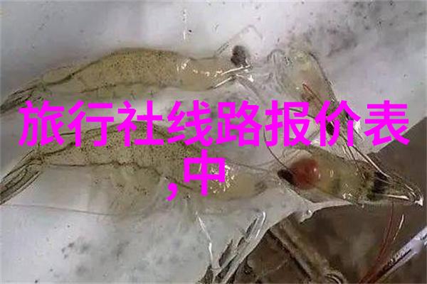 成都美食必尝探索火锅川味小吃的诱惑