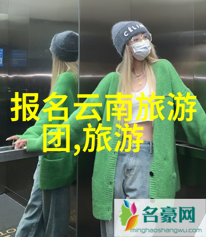 探索江苏省会南京旅游必去景点与文化体验