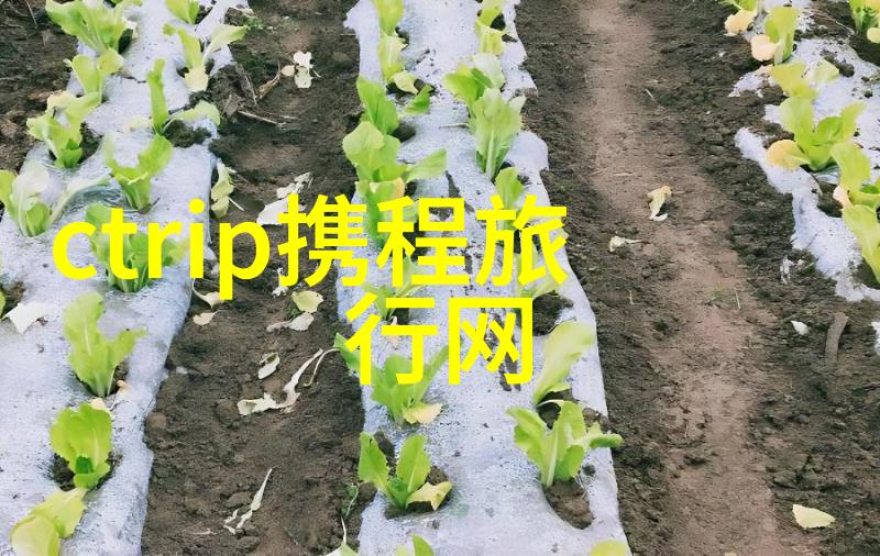 情侣野营帐篷的三亚之选亲昵地拥抱大自然的怀抱