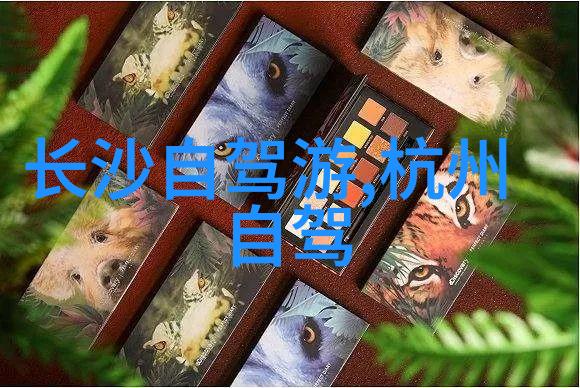 亲近自然品味本土野生原料给予的美食珍宝