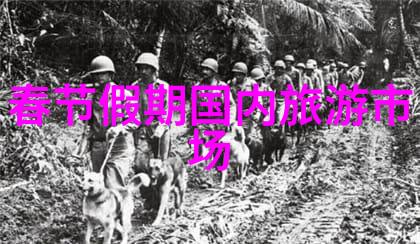 三亚旅游攻略必去景点推荐深度探究与实用指南