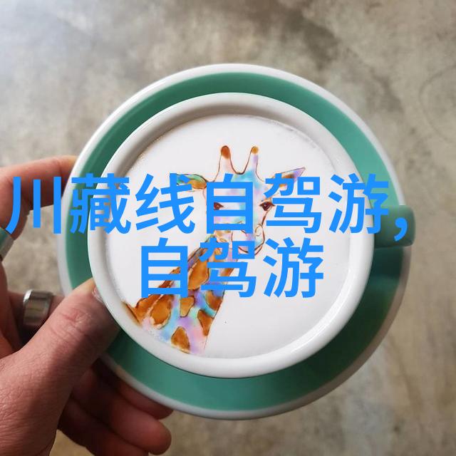 欢笑童年孩子们的户外活动精彩瞬间