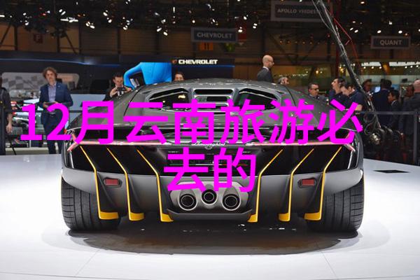 骑行软件app追风逐云的数字伙伴