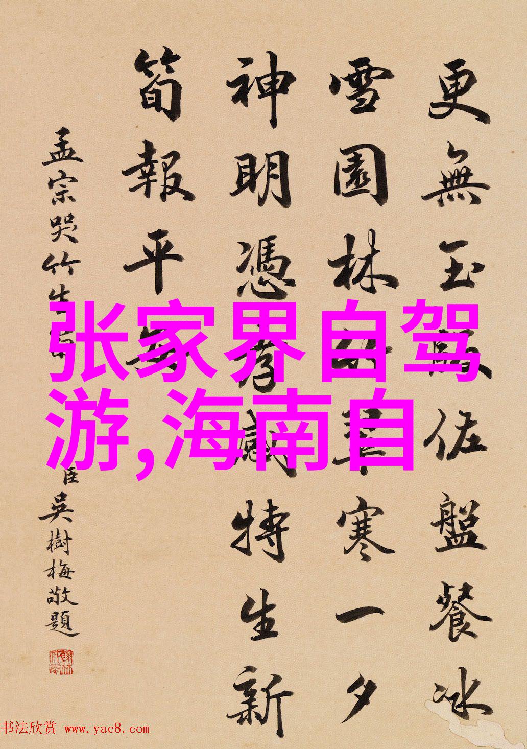 饮食盛宴品味地方特色菜肴上海周边哪里吃得好