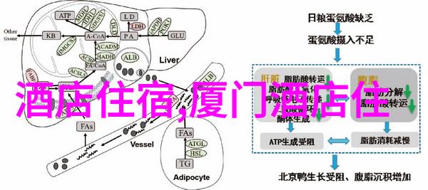 探索大自然的盛宴全球最佳风景旅游目的地推荐