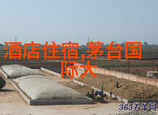 北京特色小吃赠送北京传统美食礼品