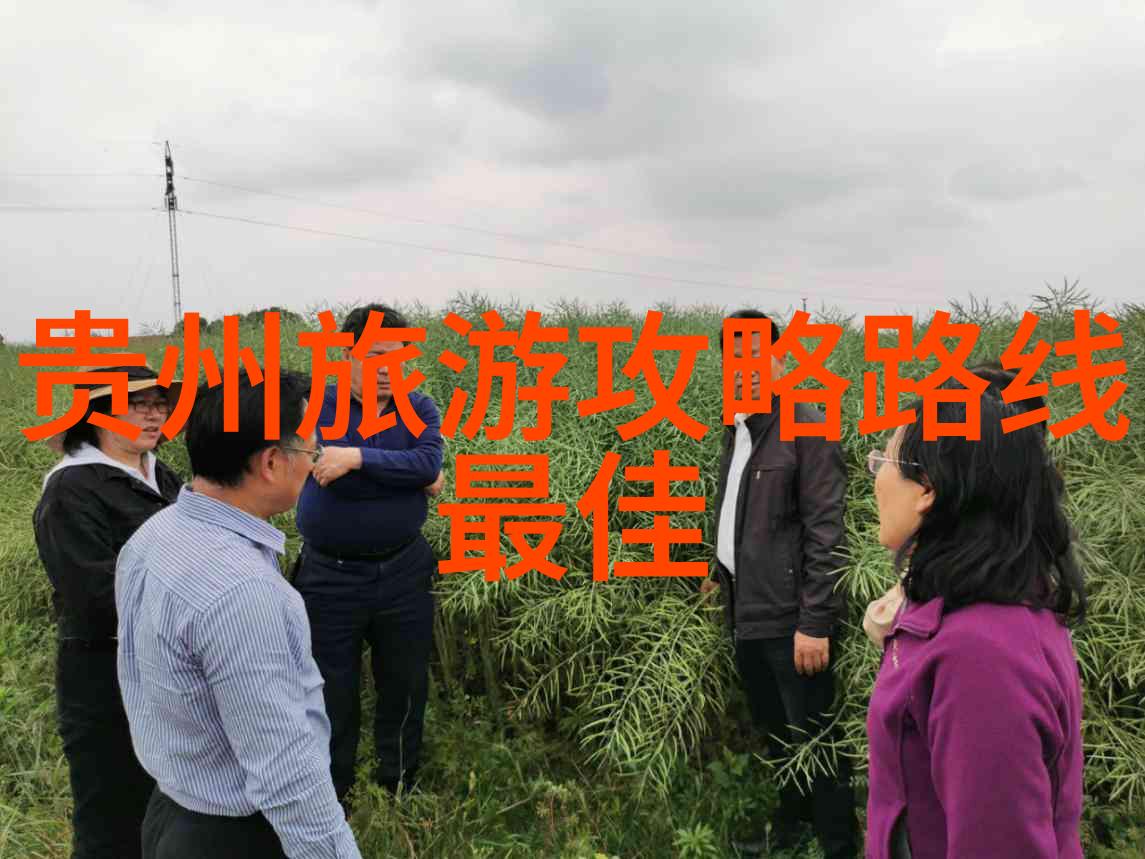 什么是适合小学生参加的最佳户外活动类型
