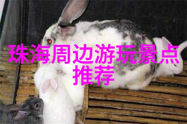 被蛇咬后浑身无力一场生死挣扎的故事