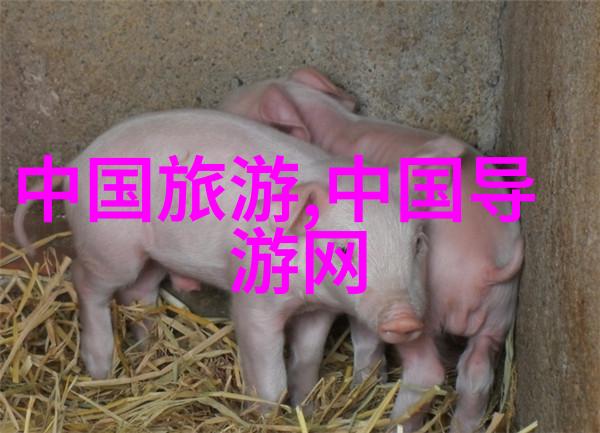 智能导览系统中国旅游数据网引领未来旅行互动方式