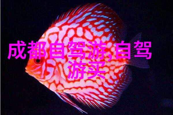 户外探险游戏户外生存野外定位露营技能徒步旅行技巧