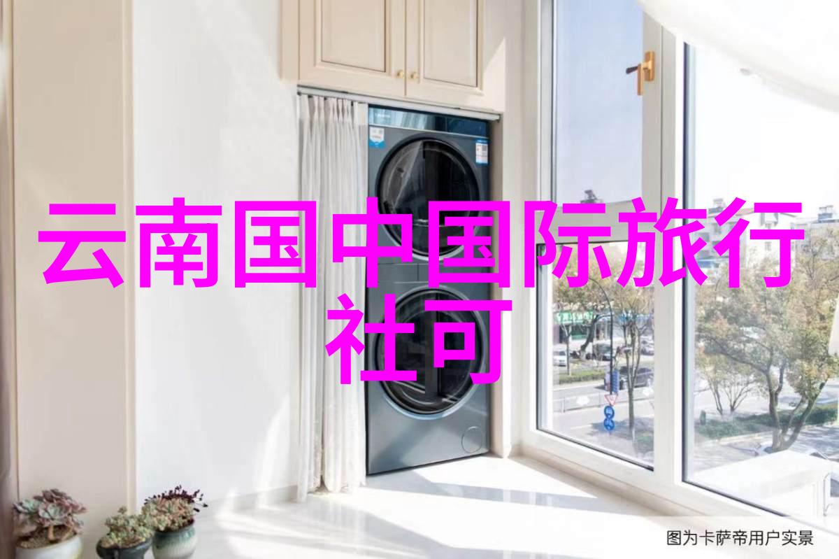 2022年中国出境游新篇章翱翔天际的旅人梦想