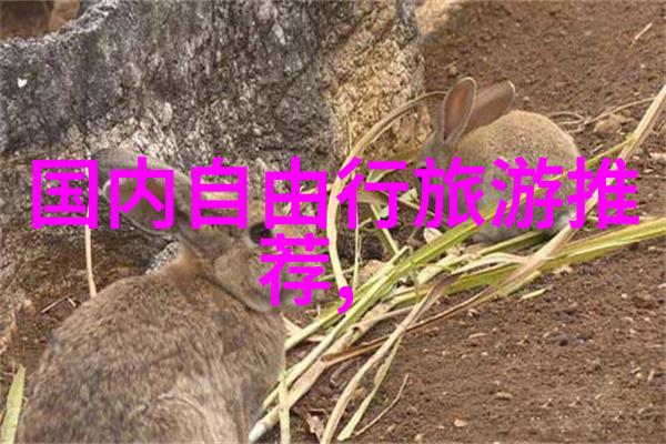 自由的翅膀游学的魅力